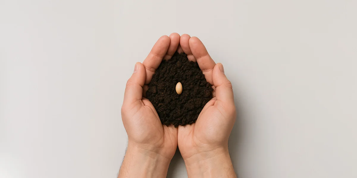 Почему лесов становится меньше и что мы можем с этим сделать уже сейчас