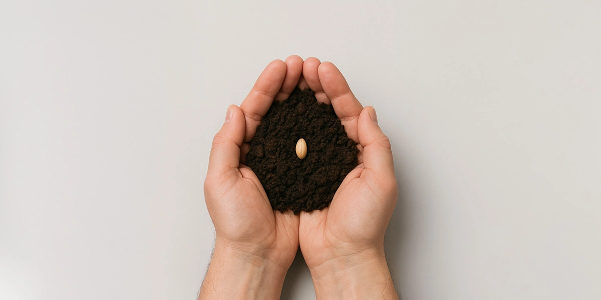 Почему лесов становится меньше и&nbsp;что мы можем с&nbsp;этим сделать уже сейчас