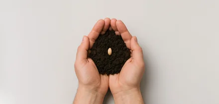 Почему лесов становится меньше и что мы можем с этим сделать уже сейчас