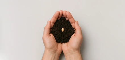 Почему лесов становится меньше и&nbsp;что мы можем с&nbsp;этим сделать уже сейчас