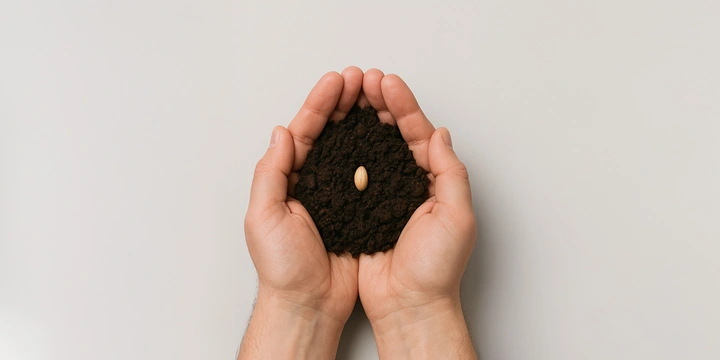 Почему лесов становится меньше и&nbsp;что мы можем с&nbsp;этим сделать уже сейчас