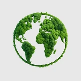 Почему лесов становится меньше и что мы можем с этим сделать уже сейчас