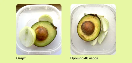 Как уберечь авокадо от потемнения: проверили 5 способов