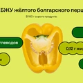 Чем полезен болгарский перец и сколько в нём калорий