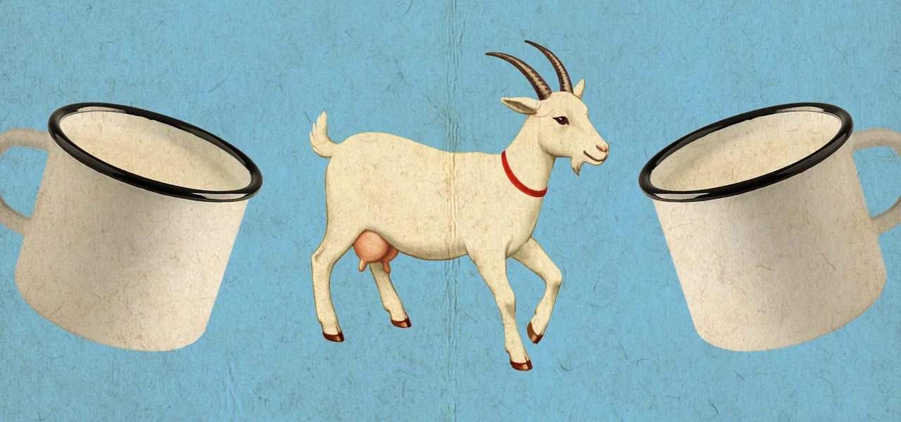 Правда ли, что козье молоко полезнее коровьего