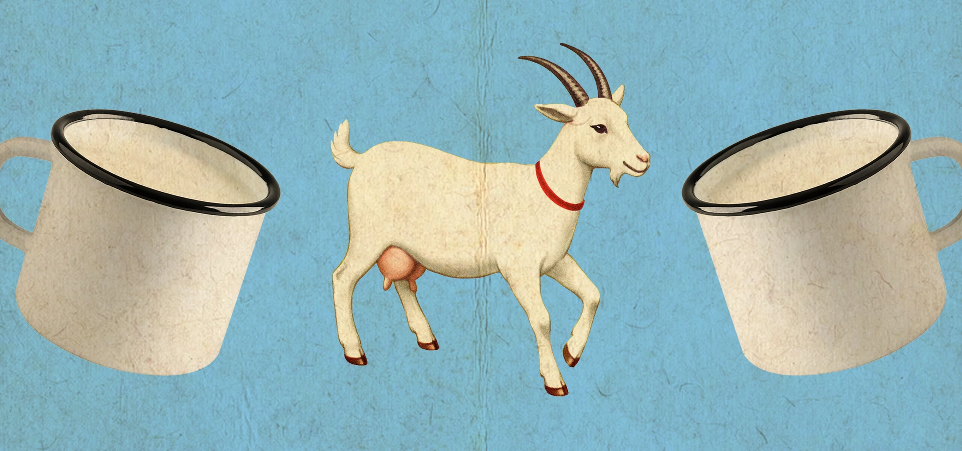 Правда ли, что козье молоко полезнее коровьего