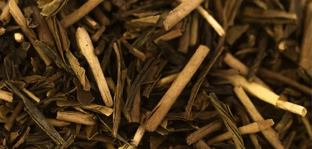 Ходзича: что это такое, чем полезен и как его правильно заваривать