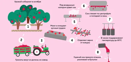 Великий соковый путь: почему гранатовый сок везут в Москву из Азербайджана