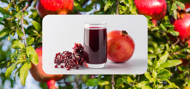 Великий соковый путь: почему гранатовый сок везут в&nbsp;Москву из&nbsp;Азербайджана