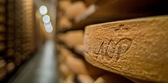 Как отличить настоящий швейцарский сыр от его копии