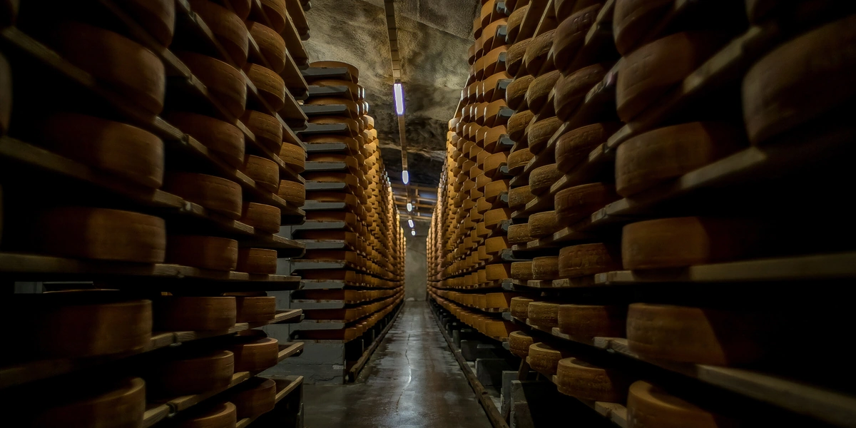 Как отличить настоящий швейцарский сыр от его копии