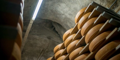 Как отличить настоящий швейцарский сыр от его копии