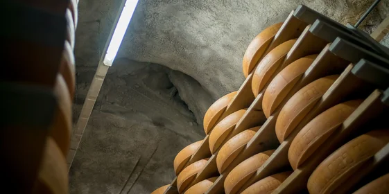 Как отличить настоящий швейцарский сыр от его копии