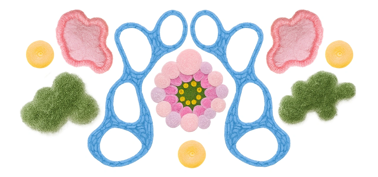Почему появляется плесень в&nbsp;доме и&nbsp;чем грозит такое соседство