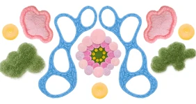 Почему появляется плесень в доме и чем грозит такое соседство