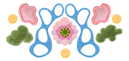 Почему появляется плесень в&nbsp;доме и&nbsp;чем грозит такое соседство