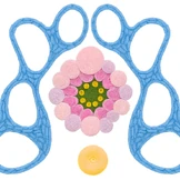 Почему появляется плесень в&nbsp;доме и&nbsp;чем грозит такое соседство