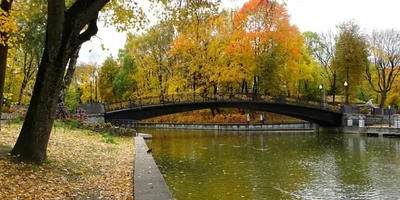 Фото из открытых источников