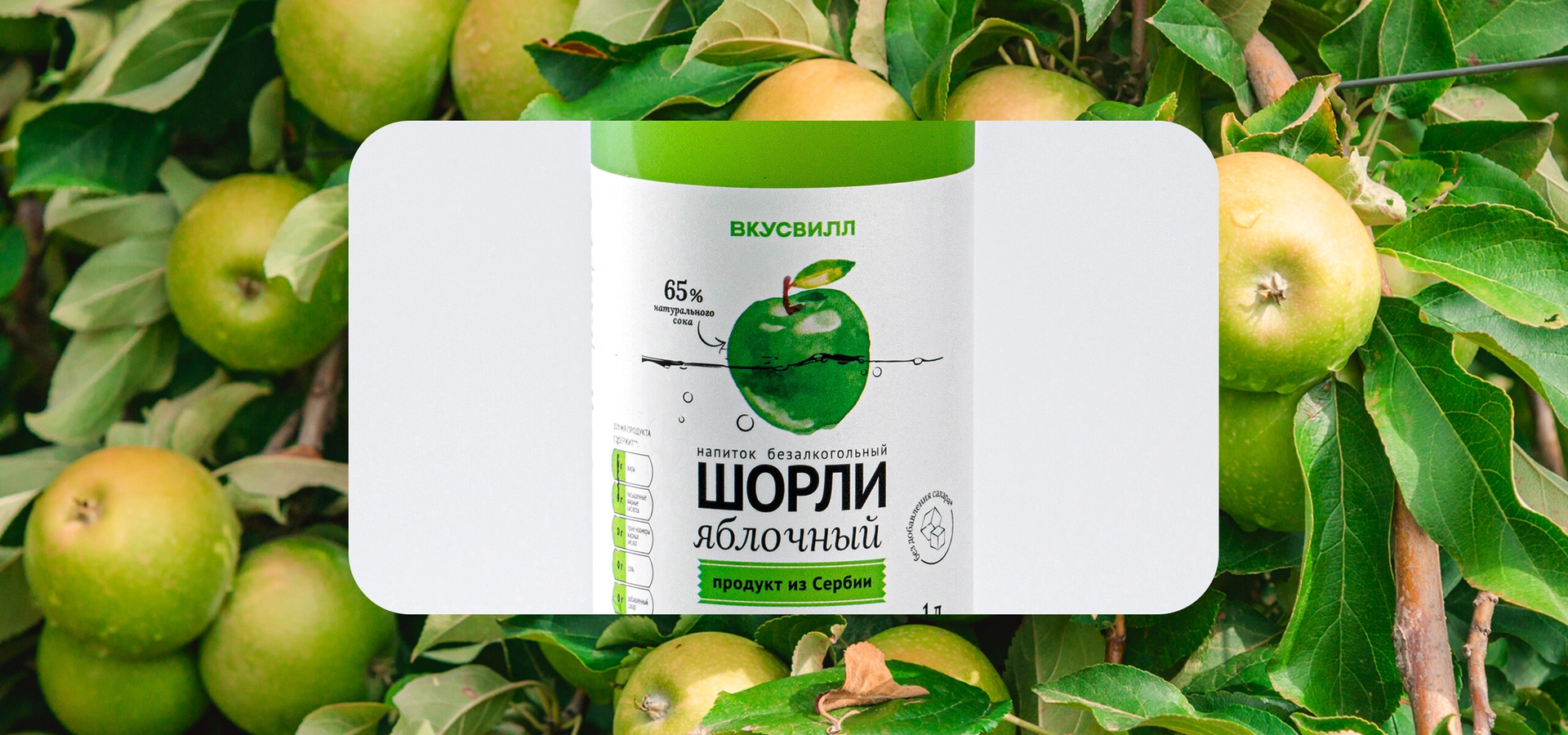 Яблочный Шорли на&nbsp;берегу Дуная: репортаж из&nbsp;Сербии