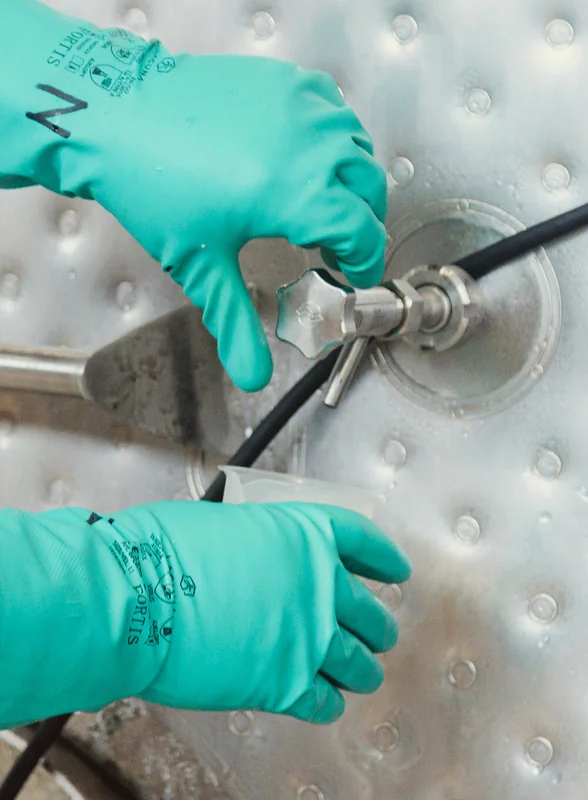 Яблочный Шорли на берегу Дуная: репортаж из Сербии