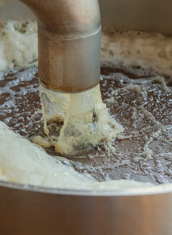 Яблочный Шорли на берегу Дуная: репортаж из Сербии