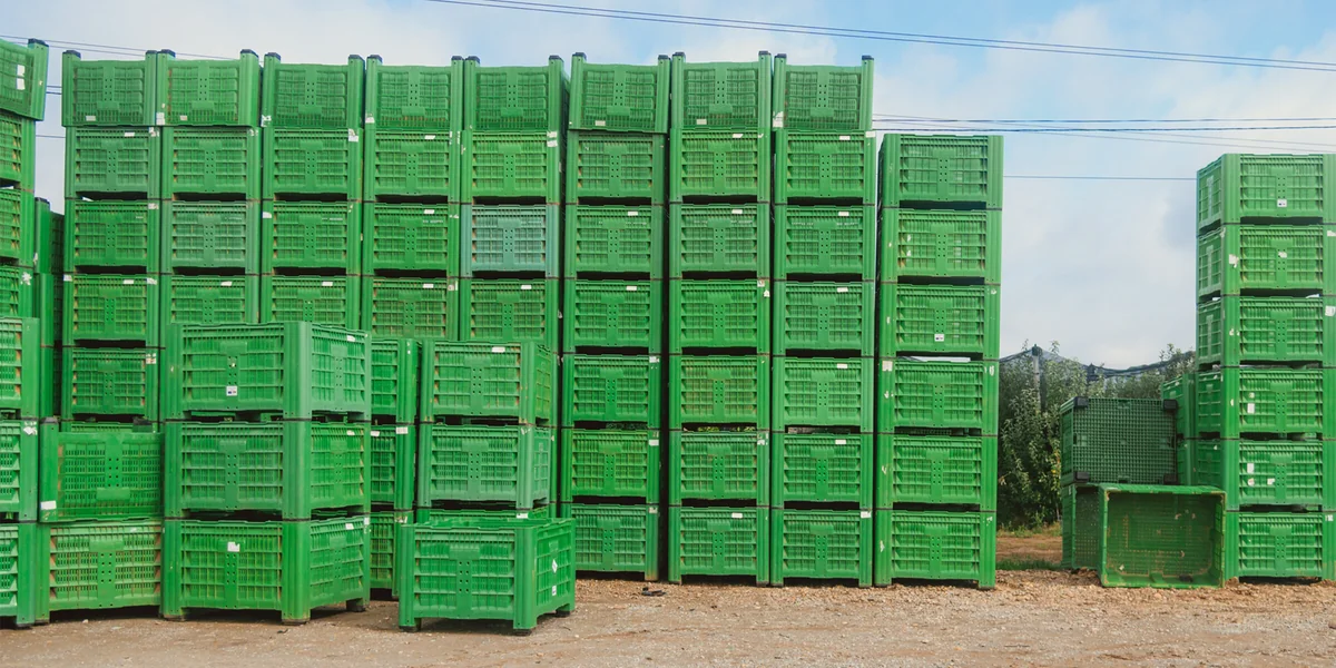 Яблочный Шорли на берегу Дуная: репортаж из Сербии