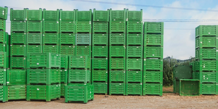 Яблочный Шорли на&nbsp;берегу Дуная: репортаж из&nbsp;Сербии