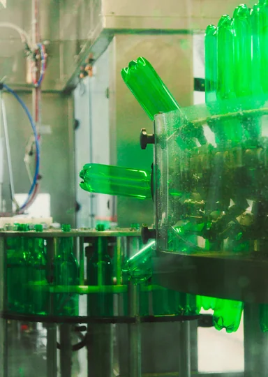 Яблочный Шорли на берегу Дуная: репортаж из Сербии