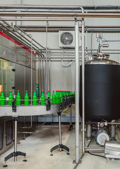 Яблочный Шорли на берегу Дуная: репортаж из Сербии