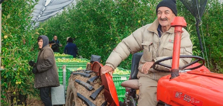 Яблочный Шорли на&nbsp;берегу Дуная: репортаж из&nbsp;Сербии