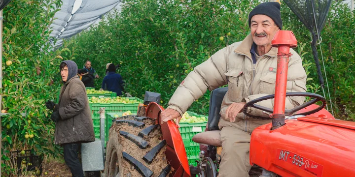 Яблочный Шорли на берегу Дуная: репортаж из Сербии