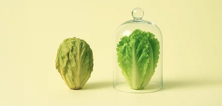 Что такое упаковка в МГС