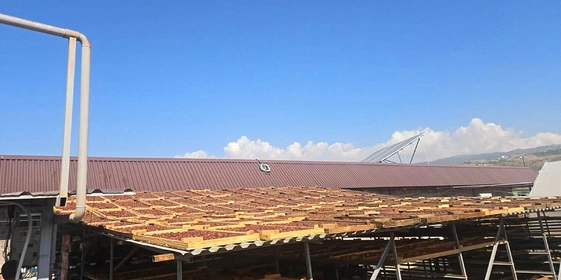 Старинная технология сушки: как на&nbsp;Кубани готовят фрукты для&nbsp;компотов