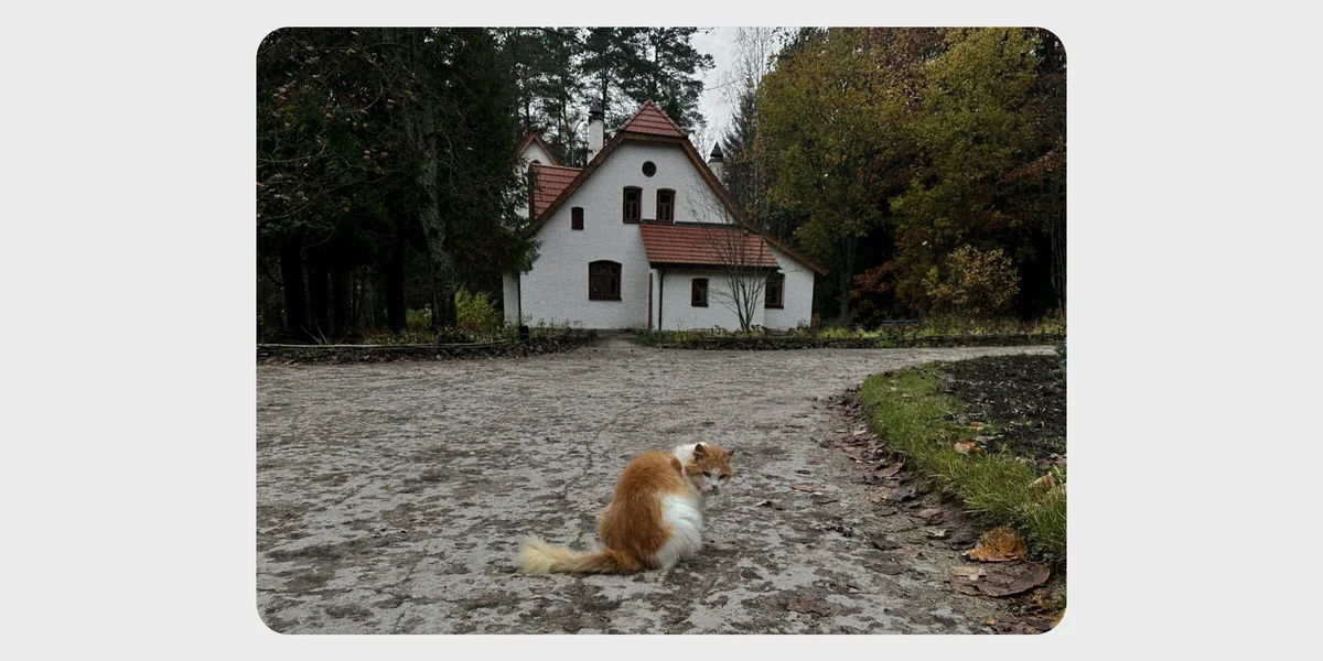 Цветаевский пирог, старинная печь Сан-Галли, Поленово и… 5 причин поехать в Тарусу