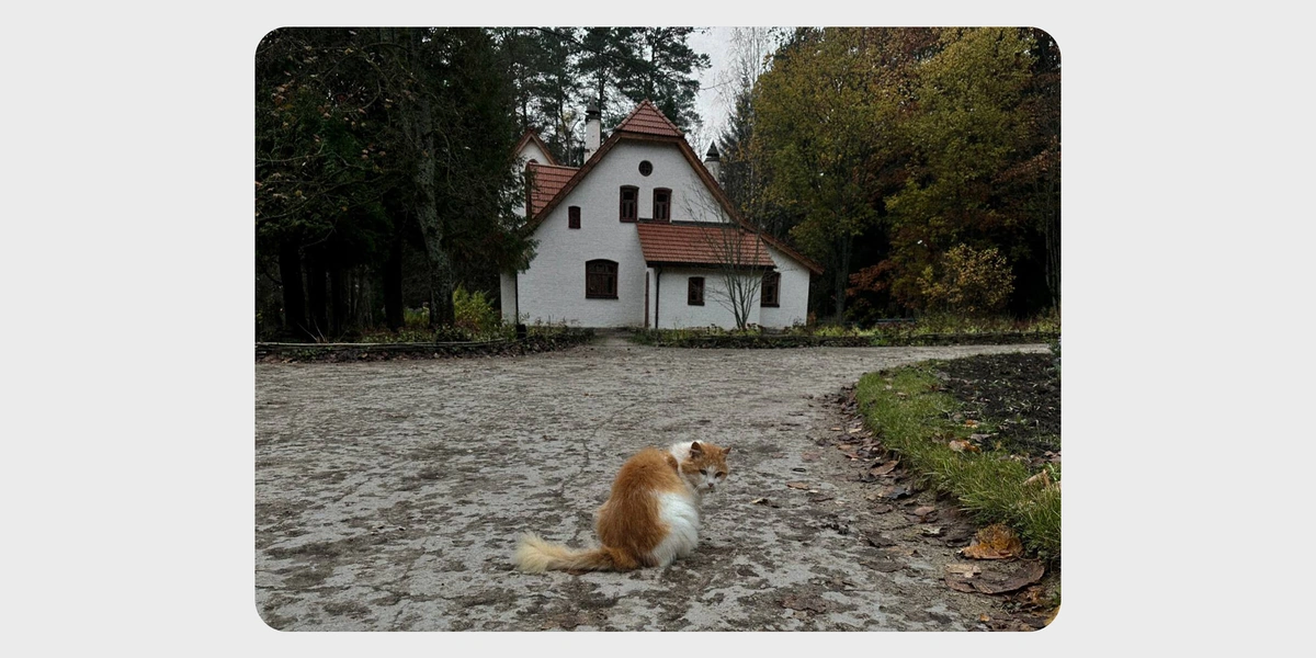 Цветаевский пирог, старинная печь Сан-Галли, Поленово и… 5 причин поехать в&nbsp;Тарусу