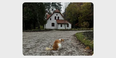 Цветаевский пирог, старинная печь Сан-Галли, Поленово и… 5 причин поехать в Тарусу