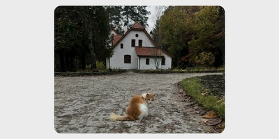 Цветаевский пирог, старинная печь Сан-Галли, Поленово и… 5 причин поехать в&nbsp;Тарусу