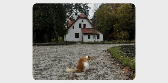 Цветаевский пирог, старинная печь Сан-Галли, Поленово и… 5 причин поехать в Тарусу