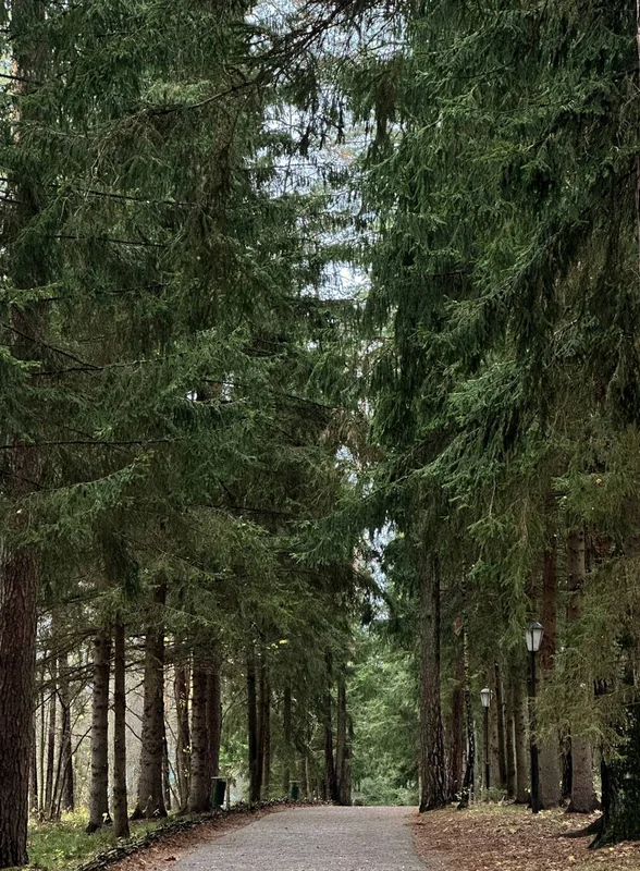 Цветаевский пирог, старинная печь Сан-Галли, Поленово и… 5 причин поехать в Тарусу