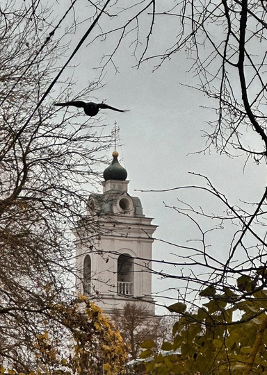 Цветаевский пирог, старинная печь Сан-Галли, Поленово и… 5 причин поехать в&nbsp;Тарусу