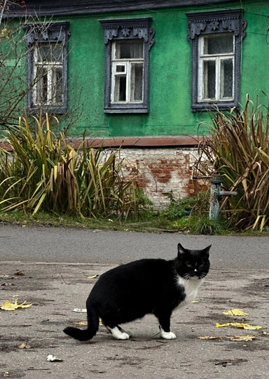 Цветаевский пирог, старинная печь Сан-Галли, Поленово и… 5 причин поехать в&nbsp;Тарусу