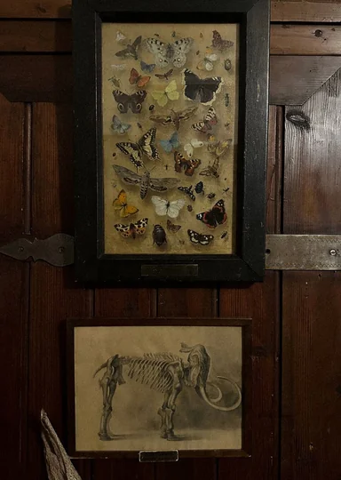 Цветаевский пирог, старинная печь Сан-Галли, Поленово и… 5 причин поехать в Тарусу