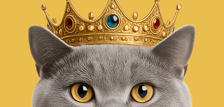 Мяу-мяу, гав-гав, какой состав: разбираемся в кормах для животных