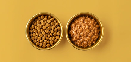 Мяу-мяу, гав-гав, какой состав: разбираемся в&nbsp;кормах для&nbsp;животных