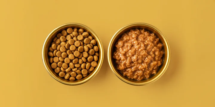 Мяу-мяу, гав-гав, какой состав: разбираемся в кормах для животных