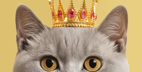 Мяу-мяу, гав-гав, какой состав: разбираемся в кормах для животных