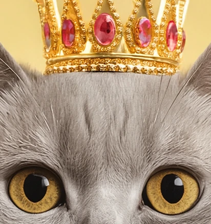 Мяу-мяу, гав-гав, какой состав: разбираемся в&nbsp;кормах для&nbsp;животных