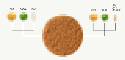 Как российские технологи создали растительное мясо, которое не отличить от обычного