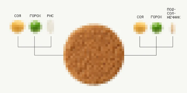 Как российские технологи создали растительное мясо, которое не отличить от обычного
