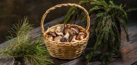 Вкус детства: лучшие рецепты десертов ко Дню матери